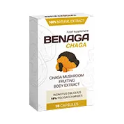 Benaga Chaga