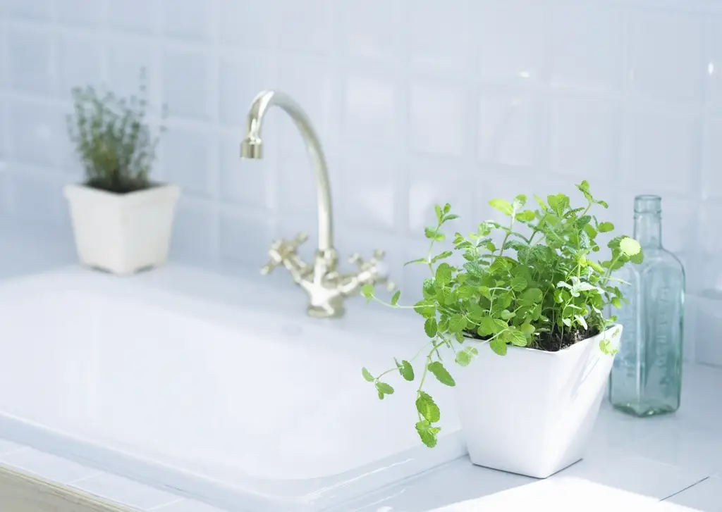 White tiled kitchen sink with a tap and potted herbs