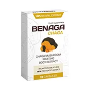 Benaga Chaga